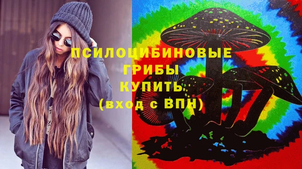 спайс Алзамай