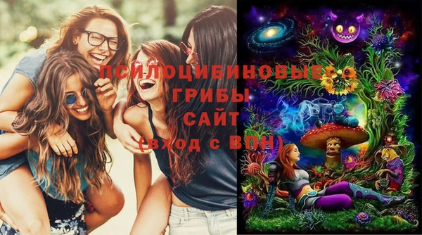 спайс Алзамай